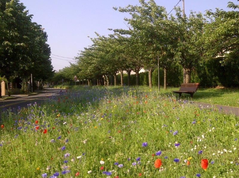 Appart Hotel Studihotel Palaiseau Plateau Saclay מראה חיצוני תמונה